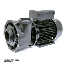 5 Bhp Spa Pump 1 Speed 2 Inch In/Out 56 Frame 220 Volts 50 Hz
